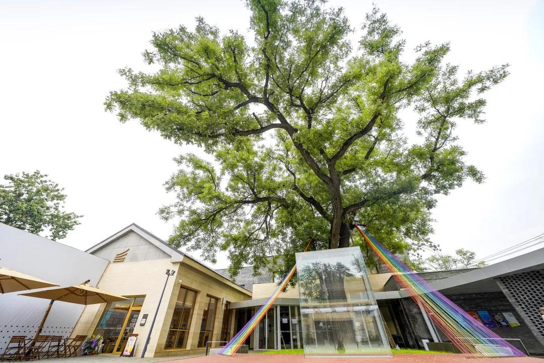 书社、美术馆、AI食堂……北大老校舍变身胡同新顶流